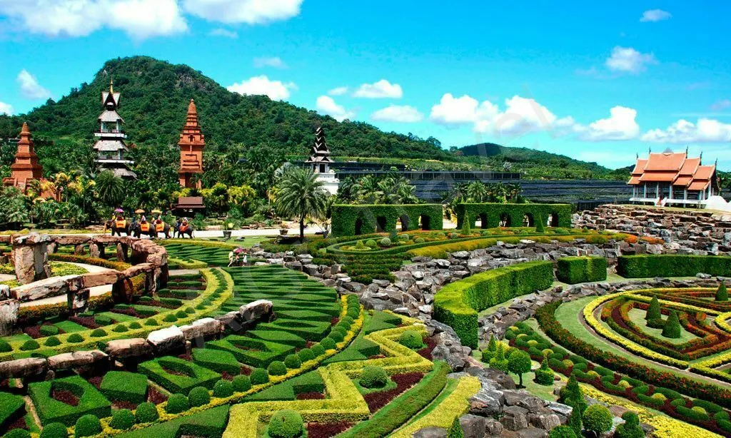 Туры в Паттаю с детьми