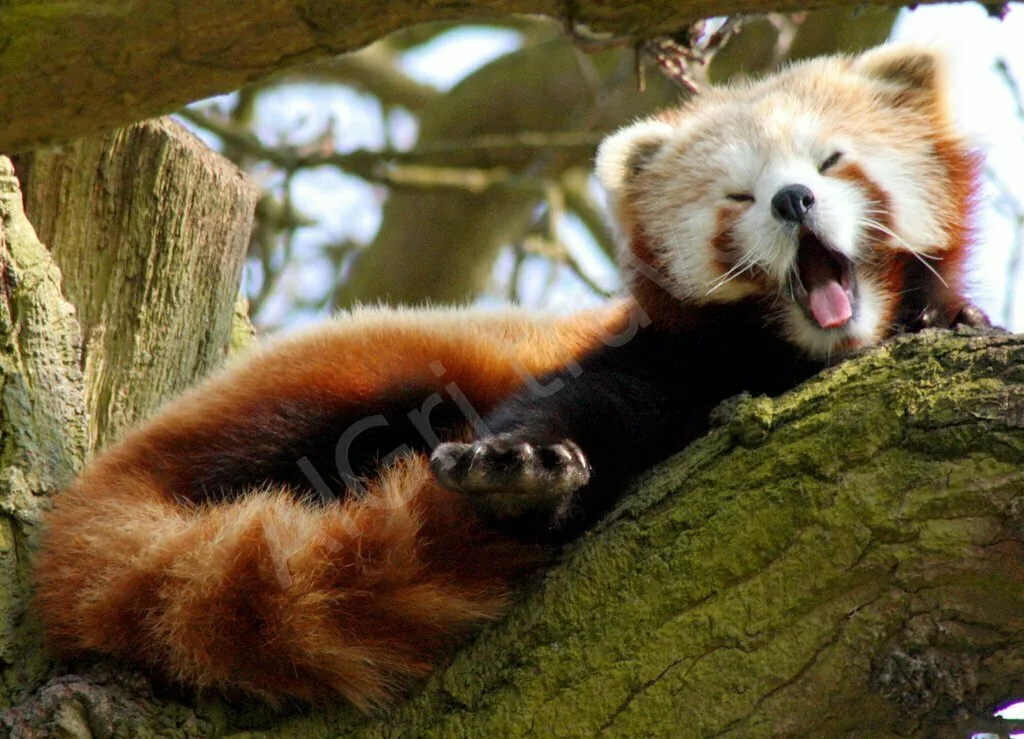 Экскурсии по Токио и Киото