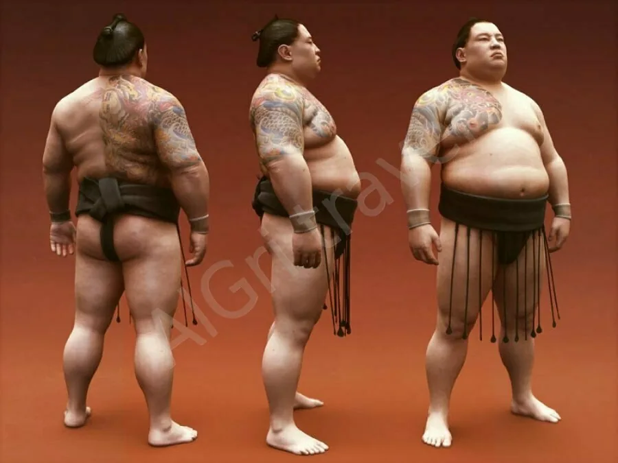 Купить билет на турнир сумо